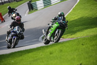 Lower Group Green Bikes